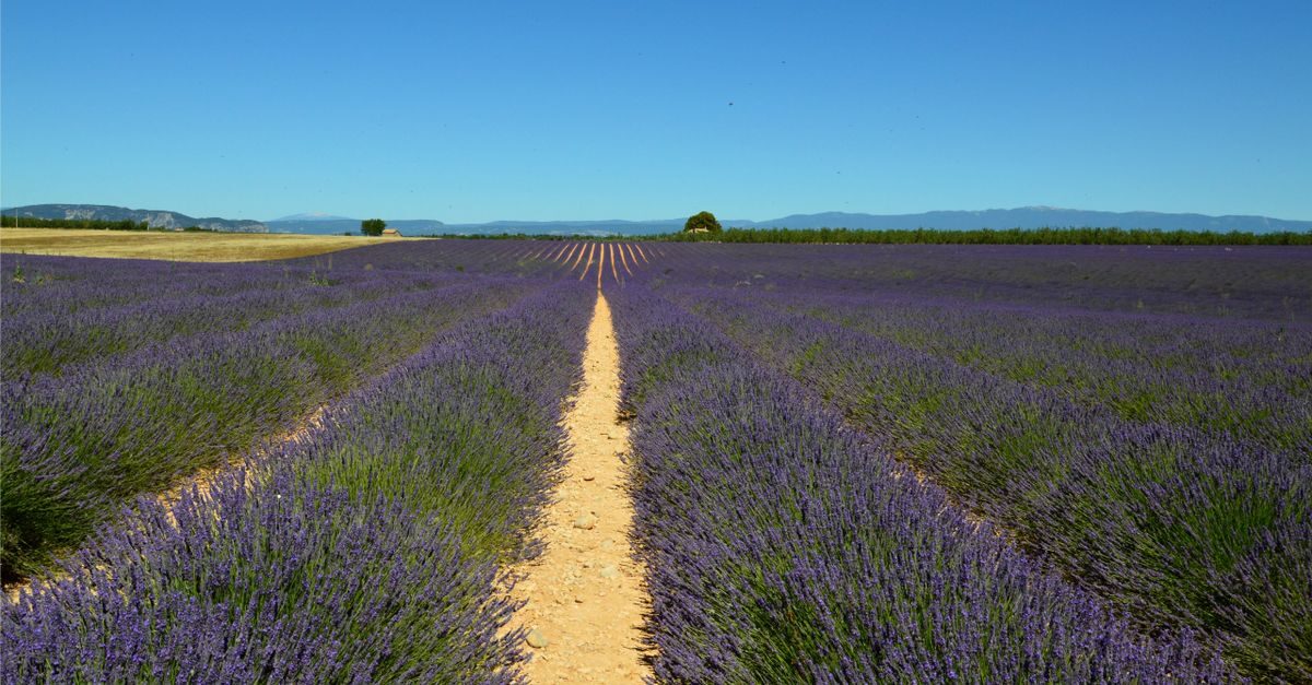 Gordes & Luberon